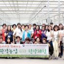 충주친환경유기영농조합법인 이미지