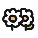 알로하니케이크 이미지