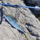 쇼어컴퍼니 이미지