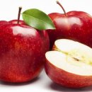 지용산인 이미지