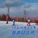 피트니스키 FITNESSKI 이미지