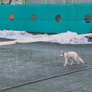 덕진체련공원 테니스장 중앙일보