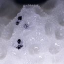 산호학원 이미지