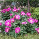 종곡마을 이미지