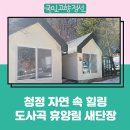 도사곡휴양림야영장 이미지