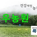 상옥프로폴리스 이미지