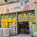 게임천국 | 5일 어린이날 어디 갈까 고민 끝! 서울 근교 아이랑 쥬라리움 하남점 리얼후기 (동물교감+키카까지 완벽)