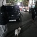 아빠짬뽕 이미지