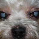 한빛종합동물병원 이미지