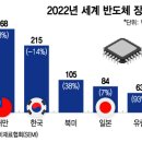 ﻿美성화에도…글로벌 반도체 기업, 中 포기 못하는 이유 이미지