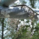 무안북중학교 이미지