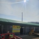 대영농원 4농장 | 청도미나리 하우스 : 한주농원 이용방법 농장 내돈내산 후기