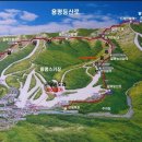 호돌이목장 이미지