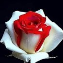 동수천로 이미지