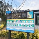 해송피크닉장 | [포항 캠핑장 추천] 바다 뷰 끝판왕 해송피크닉장 창바우마을 캠핑장 내돈내산 후기(장단점 포함)