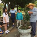 청소초등학교 이미지