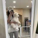 유니스펫살롱 이미지