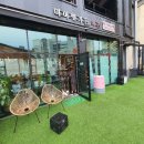 마이펫가든 이미지