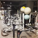 라이즈업 피티짐 이미지