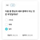 알트메이트 네이버블로그