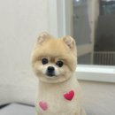 귀엽꾸멍 이미지