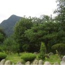 예솔누리 이미지