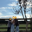 골든목장 | [제주] 3박 4일 가족여행 #4 쇠소깍/정방폭포/오설록/성이시돌목장/숙성도