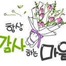 에듀식스