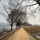 당진 속 연 그리고 연 | 4월 5월 서울근교 당일치기 양평 두물머리 데이트코스 연핫도그 주차정보 내돈내산