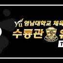 수룡관합기도 유림합기스쿨 이미지