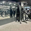 스테디휘트니스안일점