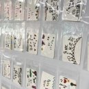 제황초등학교 이미지