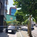 서울중랑초등학교 이미지