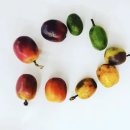 한알학원 이미지