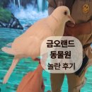 금오산로3L-7 | 구미 아이랑 가볼만한곳｜금오랜드 동물원 &amp; 체험관 후기