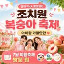 조치원 복숭아축제 아이랑 가볼만한 여름 7월축제 방문 팁
