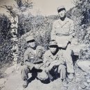 1954년 수도사단(맹호부대) 10포병대대 사진들 이미지