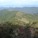 번암무룡고개로 이미지