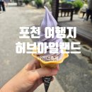 라벤더 | 포천여행 허브아일랜드 라벤더 축제 솔직후기