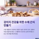 반려견 수제 간식 만들기 이미지