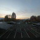 251115 부천제일시장 트럭 돌진… 20여명 사상자 발생 이미지