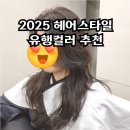 2025 팬톤컬러 2025년 헤어스타일 강남구청역 미용실 비오른헤어
