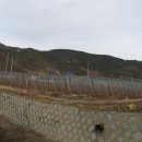 조산농장 이미지