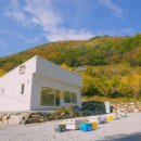 평안한치길 이미지