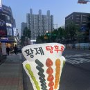 부현동초등학교 앞 이미지