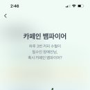홀리몰리 이미지