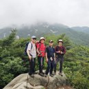 형제봉 Daum카페
