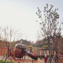 오창센트럴파크공인중개사사무소 이미지