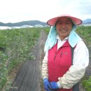 수곡농장 이미지