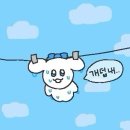 엘스템대연센타 | 7월 / 몽골 8박 9일